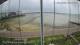 Brightlingsea Do. 11.6.