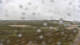 Kampen (Sylt) Fr. 12.6.