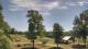 Davidsonville, Maryland Fr. 12.6.
