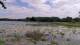 Les Landes-Genusson Fr. 12.6.