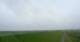 Westerhever Fr. 12.6.