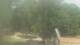 Fairview, Tennessee Sa. 13.6.