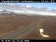 Vopnafjarðarheiði Sa. 13.6.