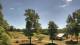 Davidsonville, Maryland Sa. 13.6.