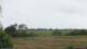 Nordstrand Sa. 13.6.