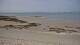 Carnac Sa. 13.6.