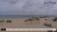 De Cocksdorp (Texel) Sa. 13.6.