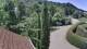 Badenweiler So. 14.6.