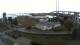 Stralsund So. 14.6.