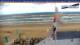 Bloemendaal aan Zee So. 14.6.