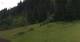 Going am Wilden Kaiser So. 14.6.