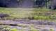 Les Landes-Genusson So. 14.6.