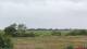 Nordstrand So. 14.6.