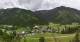 Donnersbachwald So. 14.6.
