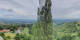 Kitzeck im Sausal So. 14.6.