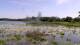 Les Landes-Genusson So. 14.6.