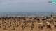 Bibione So. 14.6.