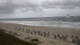 Hörnum (Sylt) So. 14.6.