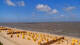 Cuxhaven So. 14.6.