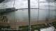 Brightlingsea So. 14.6.