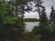Hoel Pond, New York Mo. 15.6.