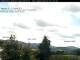 Birnbrunn Mo. 15.6.