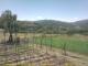 Cantalupo Ligure Mo. 15.6.