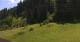 Going am Wilden Kaiser Mo. 15.6.