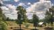 Davidsonville, Maryland Mo. 15.6.