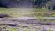Les Landes-Genusson Mo. 15.6.