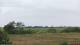 Nordstrand Mo. 15.6.