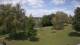 Steinbrunn Mo. 15.6.