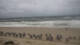 Hörnum (Sylt) Mo. 15.6.