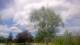 Harriman, New York Mo. 15.6.