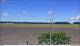 Arlington, Washington Di. 16.6.