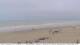 Fort-Mahon-Plage Di. 16.6.
