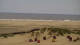 Borkum Di. 16.6.