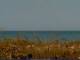 Cape Canaveral, Florida Di. 16.6.