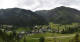 Donnersbachwald Di. 16.6.