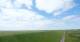 Westerhever Di. 16.6.