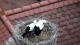 Ehingen Di. 16.6.