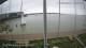 Brightlingsea Di. 16.6.