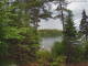 Hoel Pond, New York Mi. 17.6.