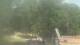 Fairview, Tennessee Mi. 17.6.