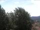Gmund am Tegernsee Mi. 17.6.