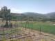 Cantalupo Ligure Mi. 17.6.