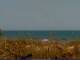 Cape Canaveral, Florida Mi. 17.6.