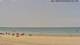 Santa Pola Mi. 17.6.