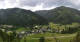 Donnersbachwald Mi. 17.6.