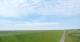 Westerhever Mi. 17.6.